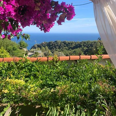 Villa D'Arte Mortola Superiore Екстериор снимка