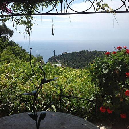 Villa D'Arte Mortola Superiore Стая снимка