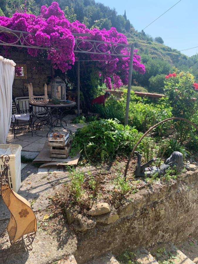 Villa D'Arte Mortola Superiore Екстериор снимка