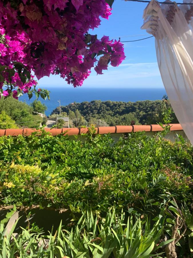 Villa D'Arte Mortola Superiore Екстериор снимка