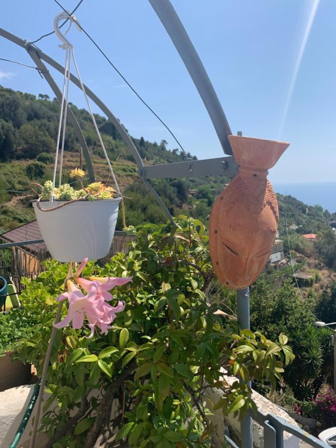 Villa D'Arte Mortola Superiore Екстериор снимка